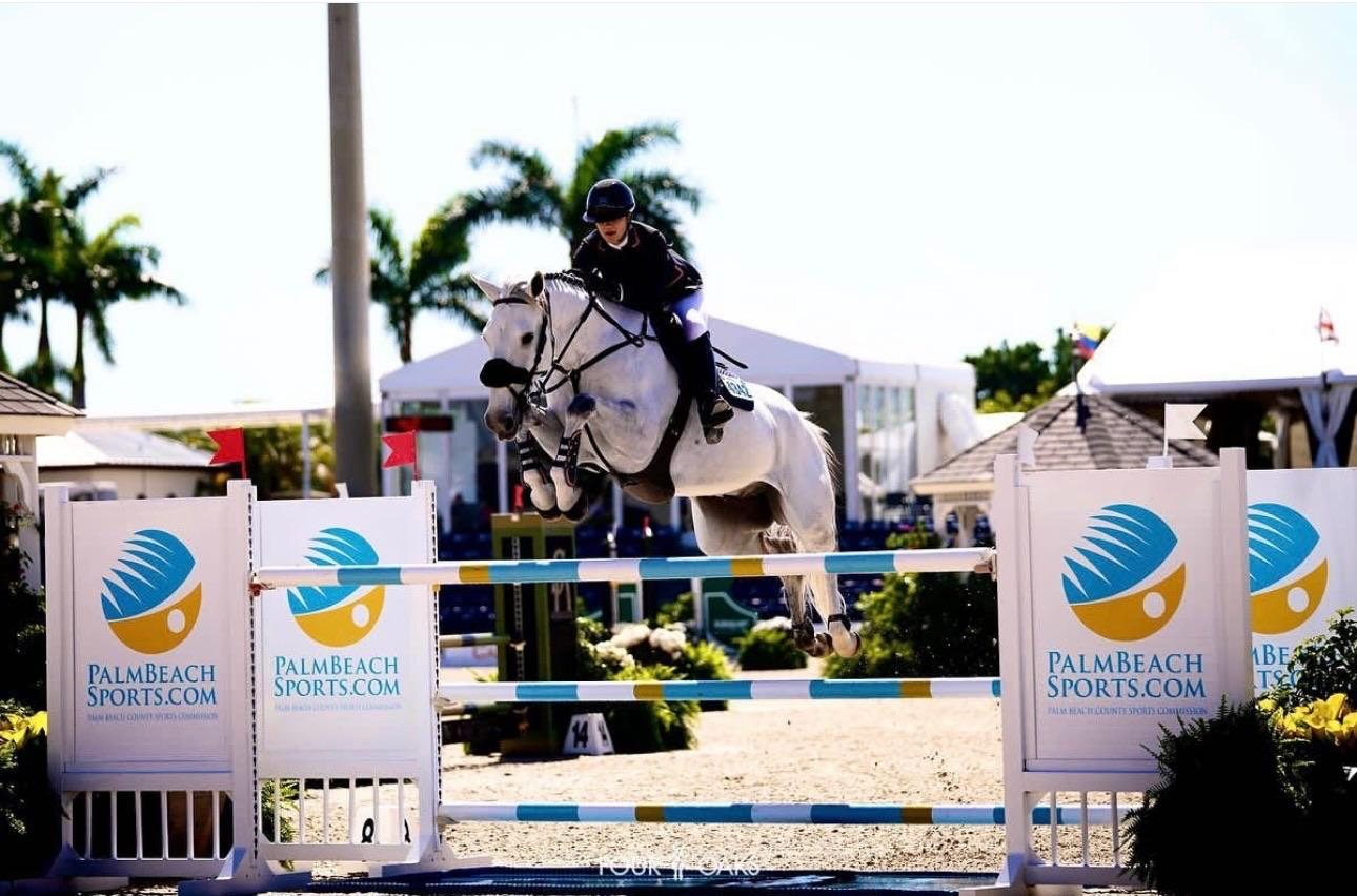 A grey horse over an oxer.