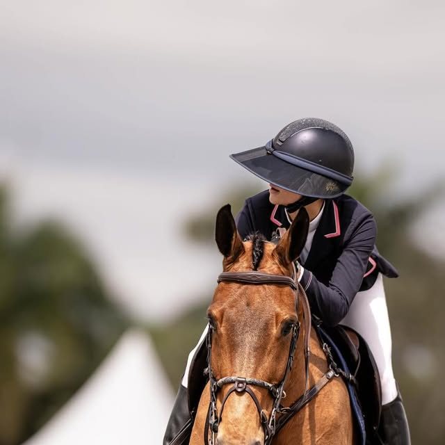 Ditarca OH Z, Reserve Champion in the Mediums at WEF Week 8.