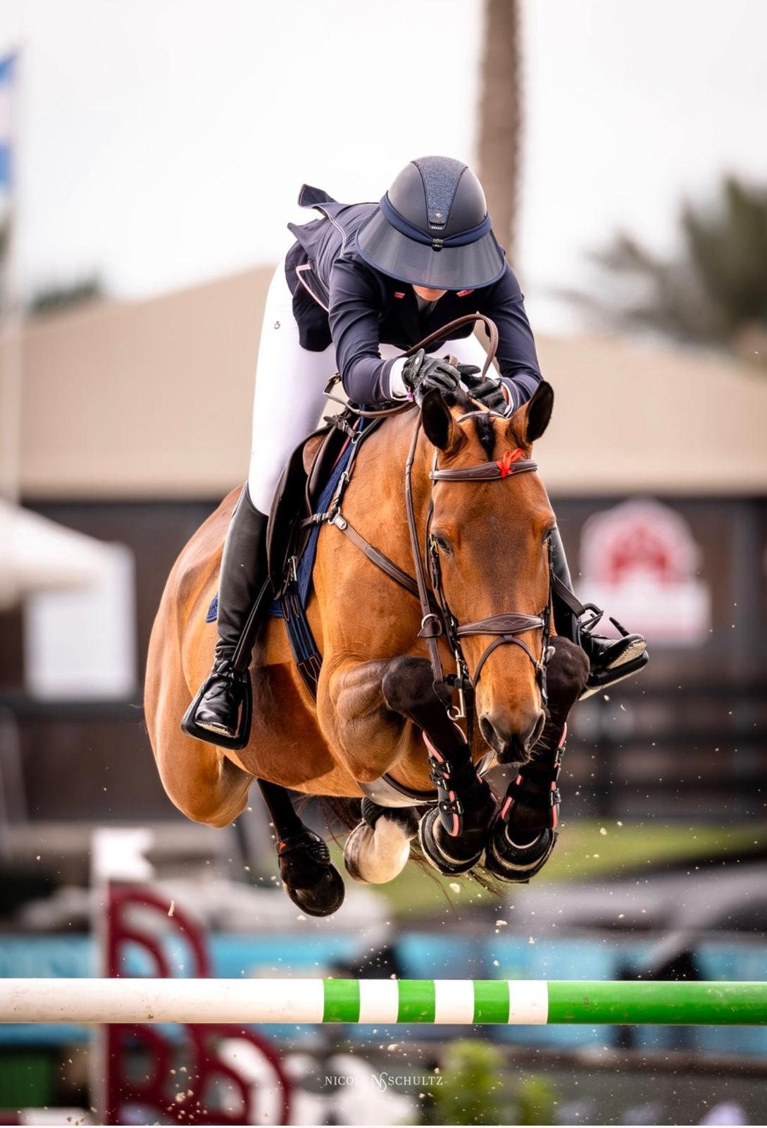 Teddi Pritzker and her horse in perfect form over a vertical.