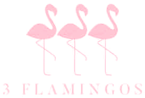 3 Flamingos